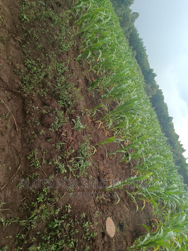 Prime Plots For Sale In Kikuyu!!
