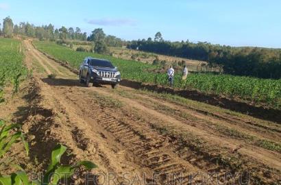 Prime Plots For Sale In Kikuyu!!