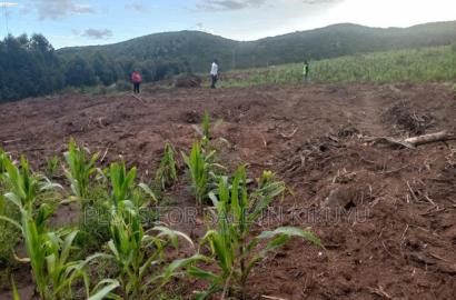 Affordable Plots for Sale in Kikuyu