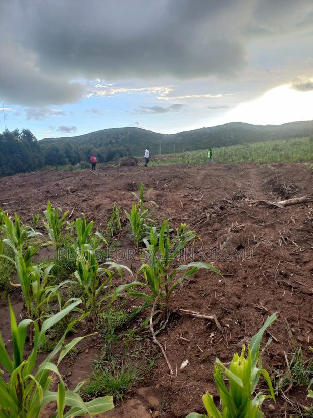 Affordable Plots for Sale in Kikuyu