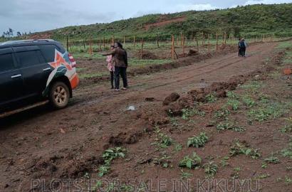Plots Within Kikuyu