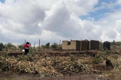 Kamangu Prime Plots