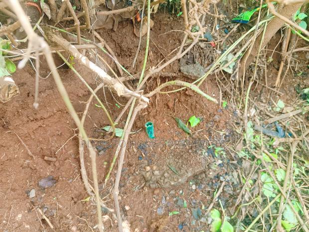 Prime Commercial Plot Available for Lease in Kikuyu!