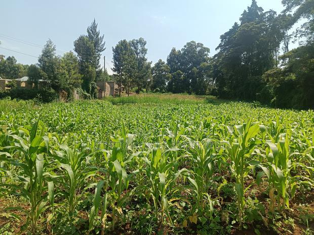Residential Plots for Sale in Kikuyu!