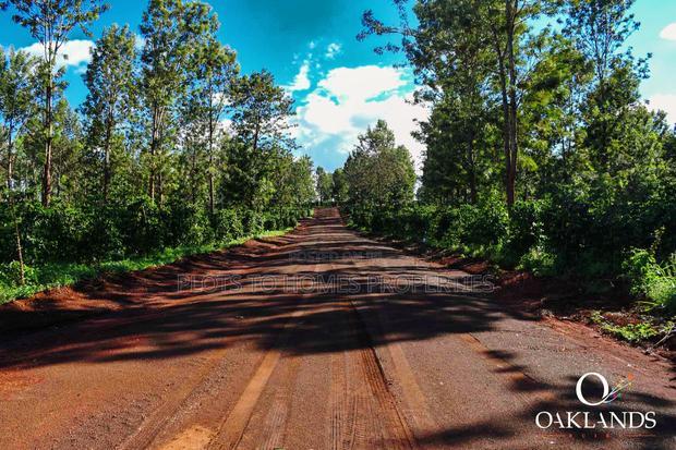 Your Dream Property Awaits at Oaklands