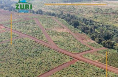 Invest In Zuri Springs, Juja!