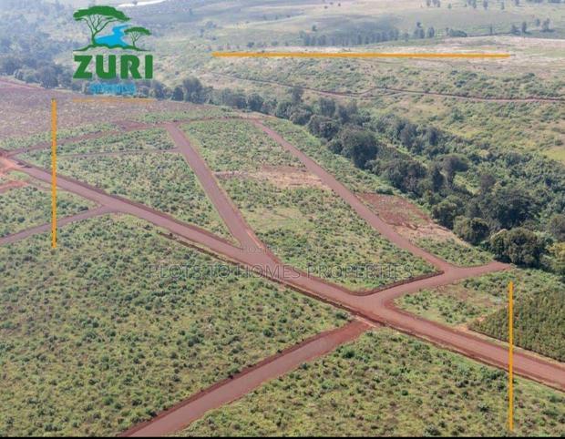 Invest In Zuri Springs, Juja!