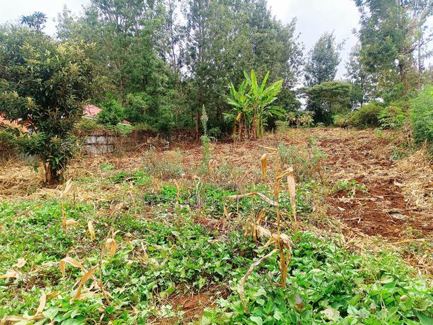 Residential Plot for Sale in Ngong, Matasia!