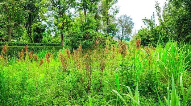 Prime Residential Plots for Sale in Kikuyu, Thogoto