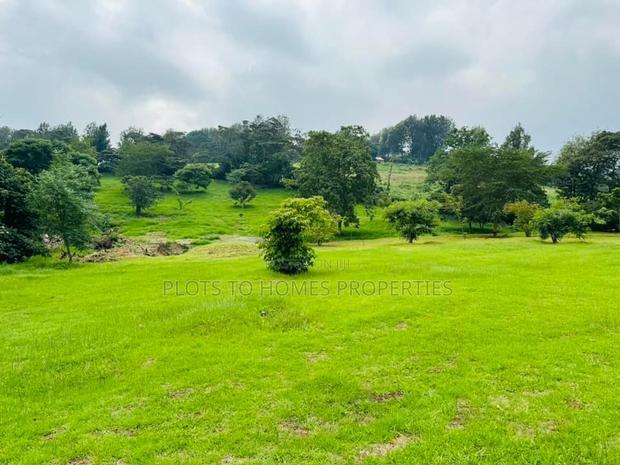 Fully Serviced 1/4-Acre Plots for Sale in Ngong!
