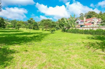 Fully Serviced 1/4-Acre Plots for Sale in Ngong!