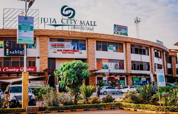 Invest In Zuri Springs, Juja!