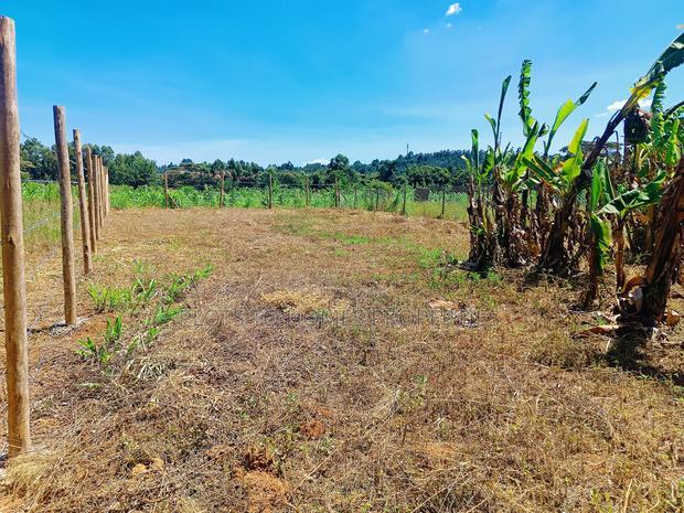 Residential 1/8th-Acre Plots for Sale in Kikuyu!