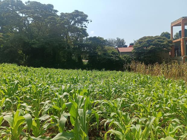 Residential Plots for Sale in Kikuyu!