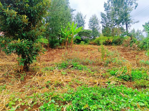 Residential Plot for Sale in Ngong, Matasia!