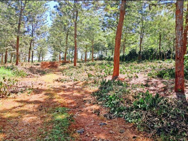 Invest in the Ayanna Waters Estate, Oaklands