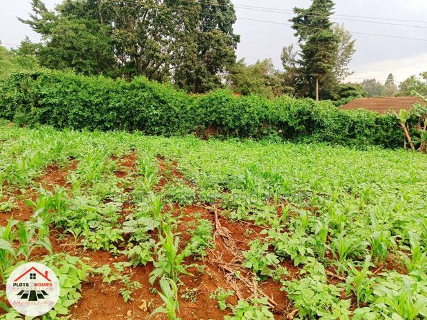 Prime Residential Plot for Sale in Kikuyu Town!