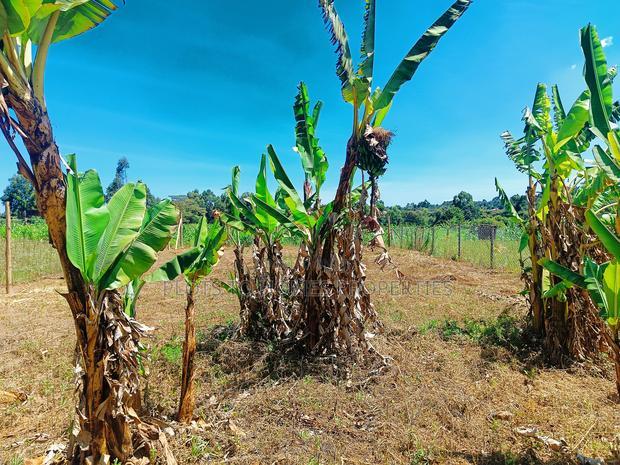 Residential 1/8th-Acre Plots for Sale in Kikuyu!