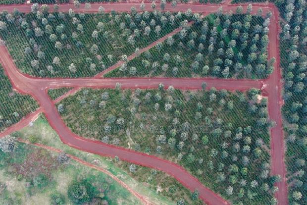 Unlock Your Dream Home With the Pazuri Park Estate