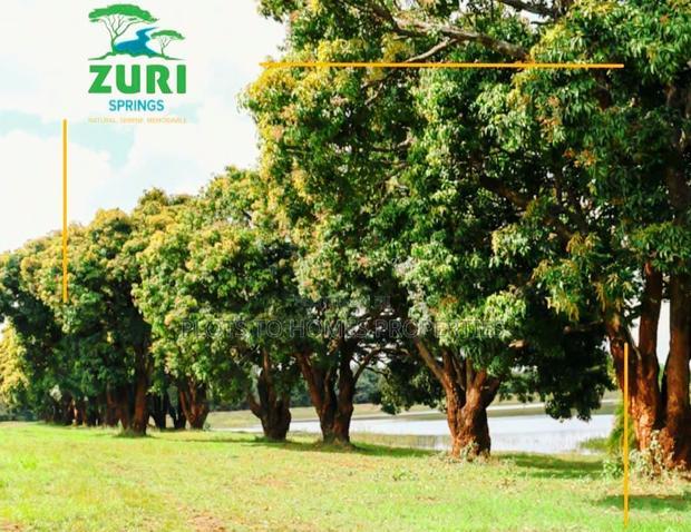 Invest In Zuri Springs, Juja!