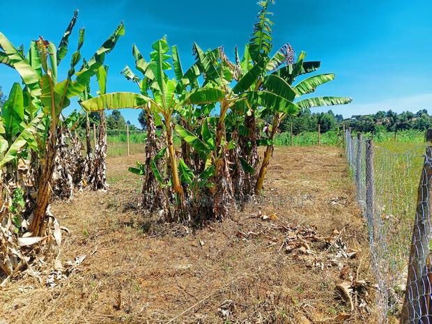 Residential 1/8th-Acre Plots for Sale in Kikuyu!