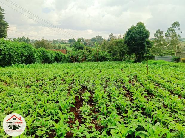 Prime Residential Plot for Sale in Kikuyu Town!