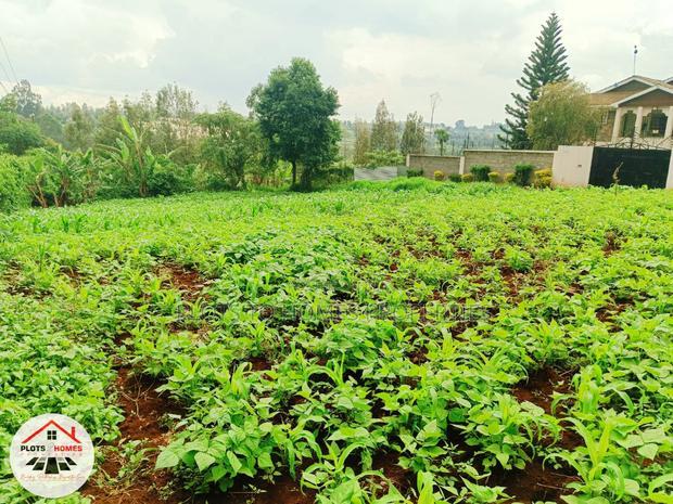 Prime Residential Plot for Sale in Kikuyu Town!