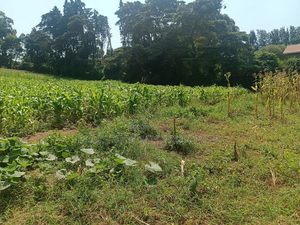 Residential Plots for Sale in Kikuyu!