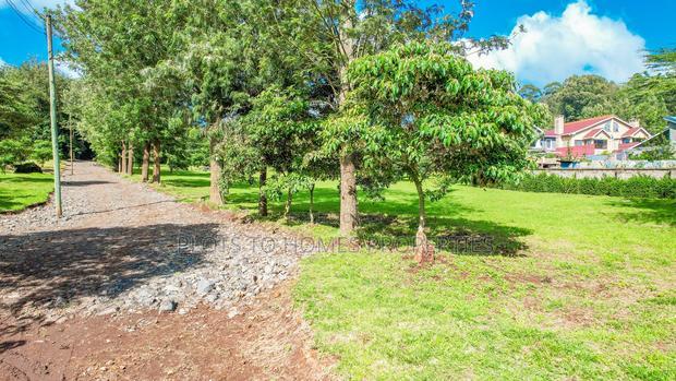 Fully Serviced 1/4-Acre Plots for Sale in Ngong!