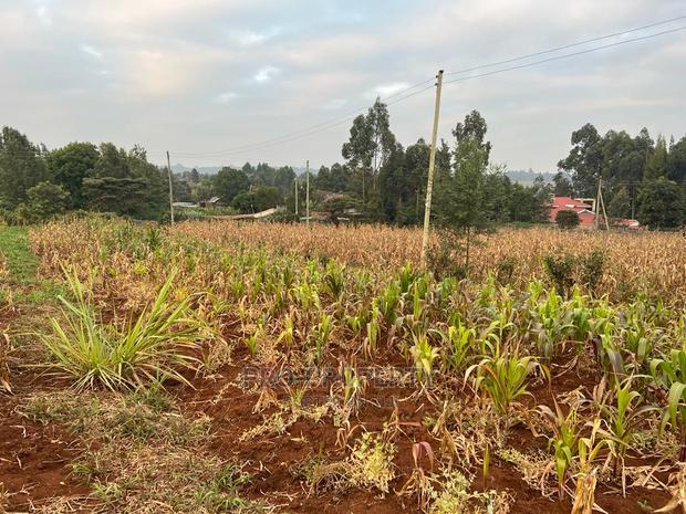 Prime Residential Plot for Sale in Kikuyu Kamangu (Migumoini