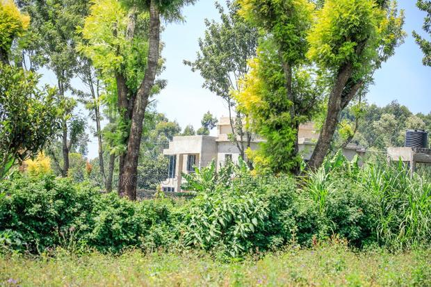 Residential Serviced Plots in Kikuyu, Ondiri