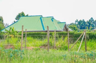 Prime 1/8th Acre Residential Plots for Sale in Kamangu