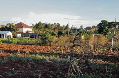Prime Residential Plot (100 by 100 Fts) in Kikuyu ,Gikambura