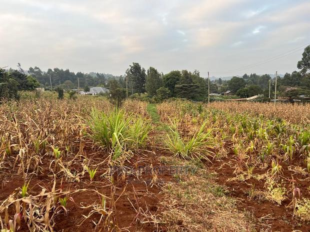 Prime Residential Plot for Sale in Kikuyu Kamangu (Migumoini