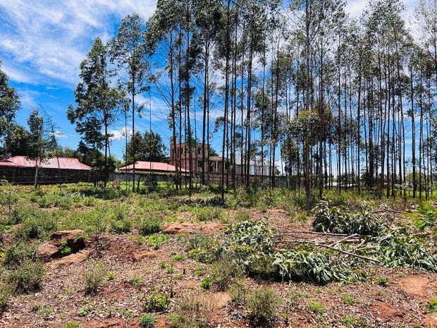 50 X 100fts Plots for Sale in Kikuyu, Gikambura.