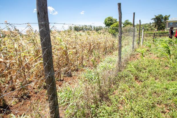 Prime Residential Plots in Kikuyu, Kamangu for Sale
