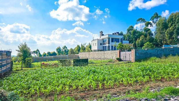 Prime Plot For Sale In Kikuyu, Gikambura.