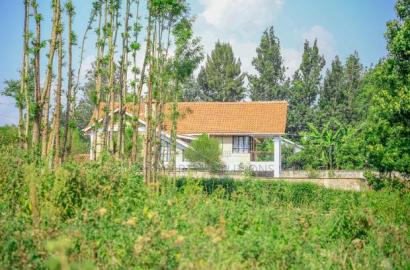 Prime 1/4-Acre Residential Plot for Sale Kikuyu, Thogoto