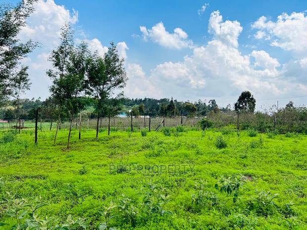 Prime 1/8 Acre Residential Plots for Sale in Kikuyu, Kamangu