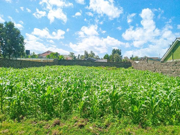 1/4 Acre Plot for Sale in Olive Inn Estate, Nakuru, Kiamunyi