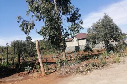 Prime 50x100ft for Sale in Kikuyu, Kamangu.