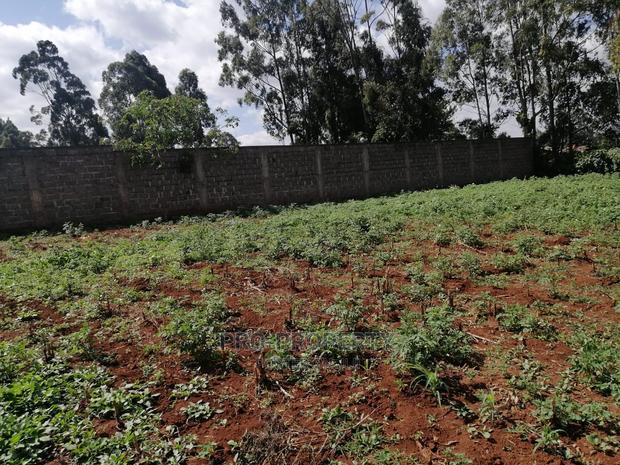 Commercial Plot for Sale in Sigona.