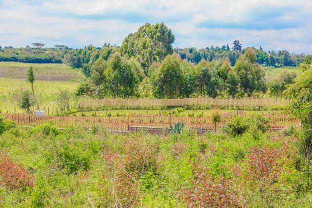 Prime Residential Plots for Sale in Kikuyu, Ondiri.