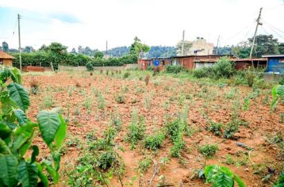 Prime Commercial Plot for Sale in Kikuyu, Lusigetti