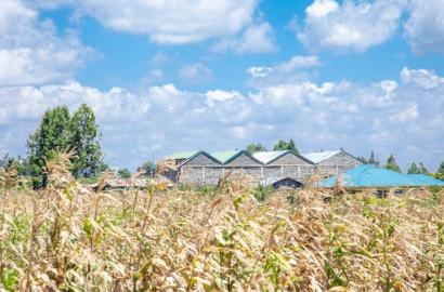 Prime Plot for Sale in Kikuyu, Kamangu.