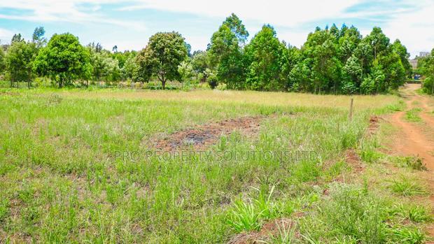 Prime 1/8th Acre Residential Plots for Sale in Kamangu
