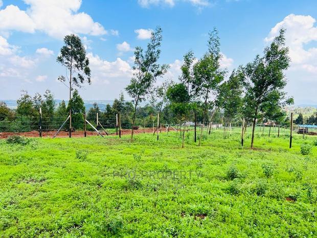 Prime 1/8 Acre Residential Plots for Sale in Kikuyu, Kamangu