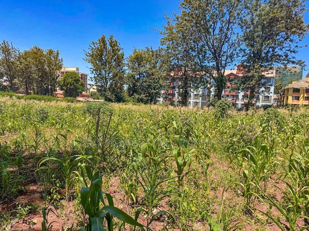 Commercial 3/4 Acre Plot for Sale in Thindigua, Kiambu