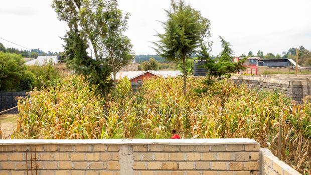 50 by 100ft Prime Residential Plot for Sale in Kikuyu, Kamangu.
