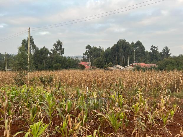 Prime Residential Plot for Sale in Kikuyu Kamangu (Migumoini